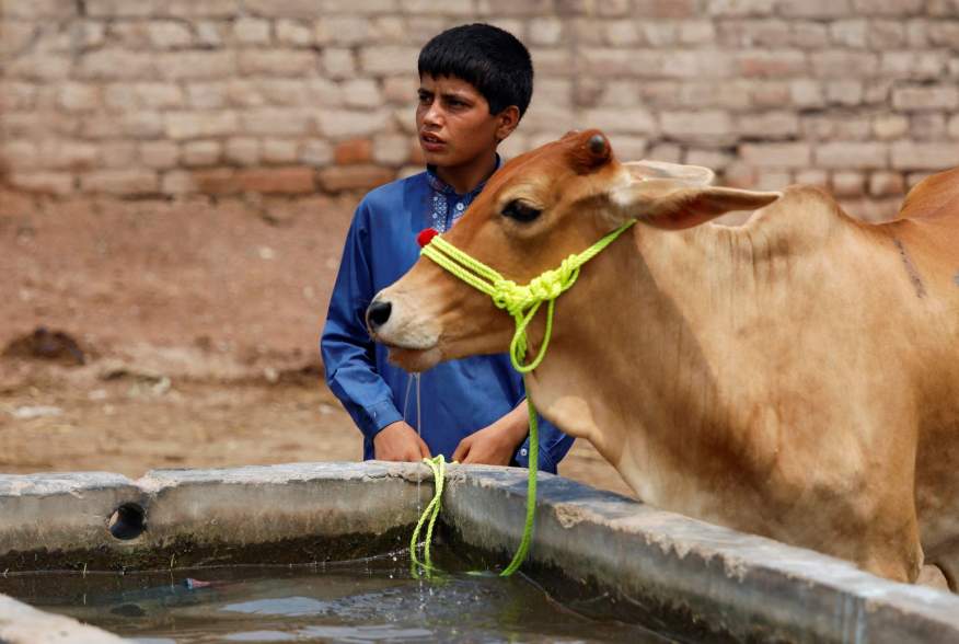  https://pictures.reuters.com/archive/PAKISTAN-DAILYLIFE--RC11DFE721F0.html 