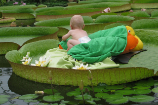 National Botanic Garden of Belgium / Donar Reiskoffer