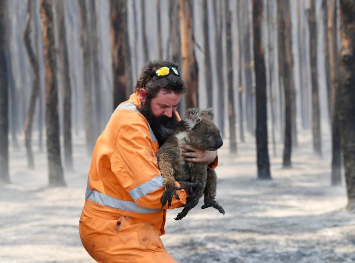 Adelaide wildlife rescuer Simon Adamczyk is seen with a koala rescued at a burning forest near Cape Borda on Kangaroo Island, southwest of Adelaide, Australia, January 7, 2020. AAP Image/David Mariuz/via REUTERS