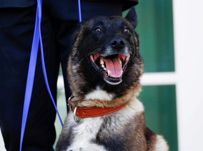 Conan, the U.S. military dog that participated in and was injured in the U.S. raid in Syria that killed ISIS leader Abu Bakr al-Baghdadi, stand on the colonnade of the West Wing of the White House for a photo opportunity with President Donald Trump