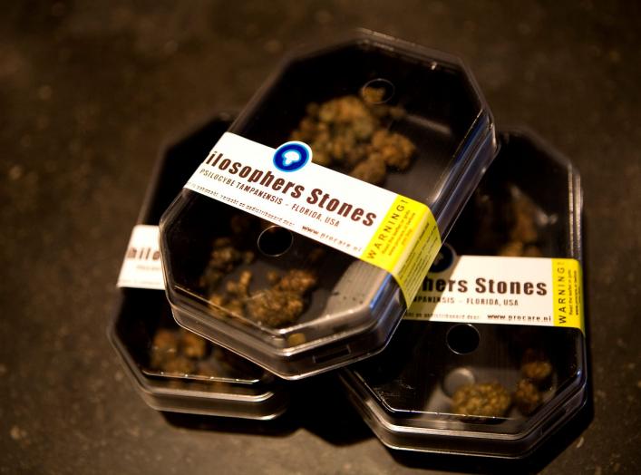 Boxes containing magic mushrooms sit on a counter at a coffee and smart shop in Rotterdam November 28, 2008. The Netherlands will ban the sale and cultivation of all hallucinogenic "magic" mushrooms from next week, the latest target of a country seeking t